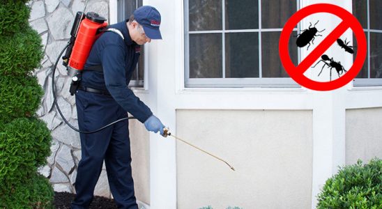 Seydişehir Karınca İlaçlama böcek ilaçlama ve haşere kontrolü — ilaclama-tr.com